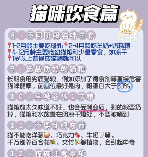人可以吃猫粮吗?为什么人类不应该食用猫粮?