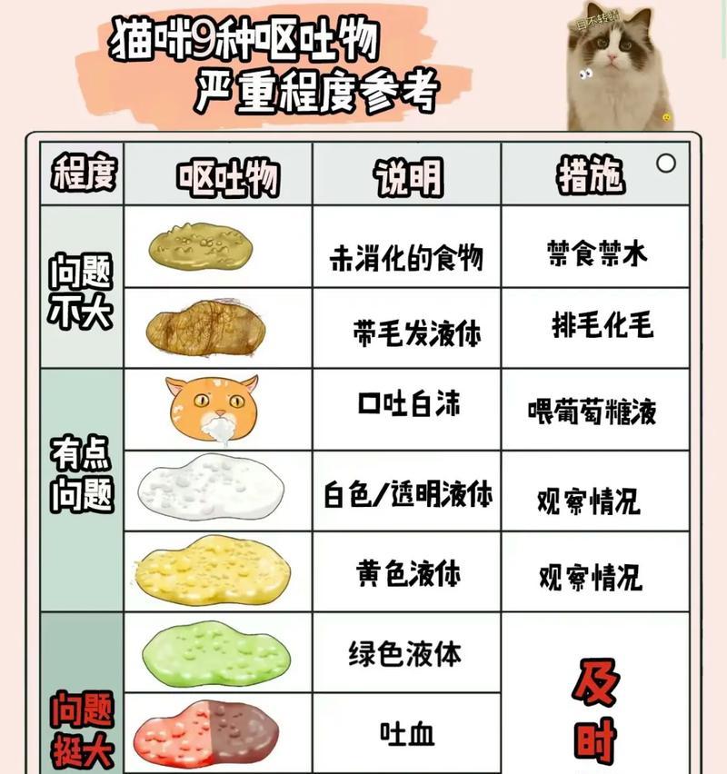 母猫呕吐不吃猫粮的解决方法是什么?