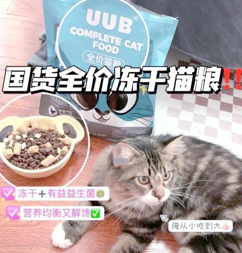 在tiktok上推广猫粮效果如何?
