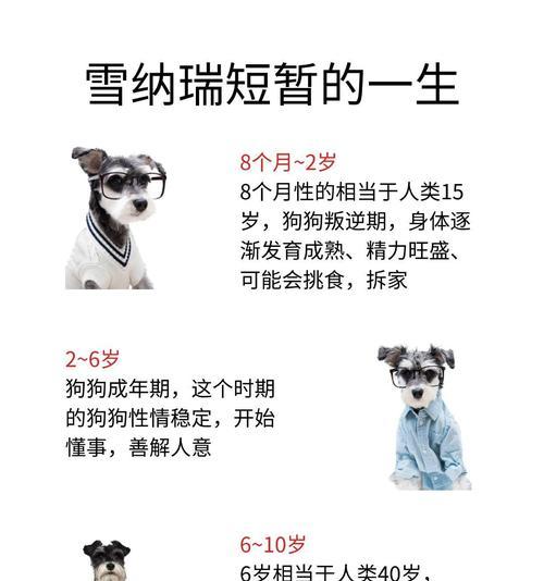 雪纳瑞宠物险的费用是多少?购买宠物险的必要性如何?