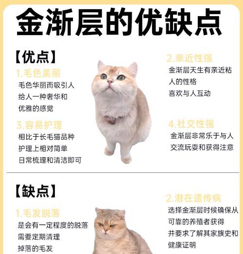 金渐层猫粮选择标准是什么?如何通过饮食改善毛色?