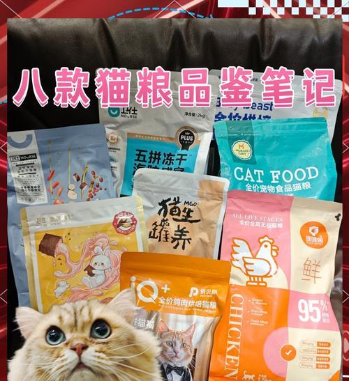 猫舍种猫推荐吃什么猫粮?有什么特别需求?