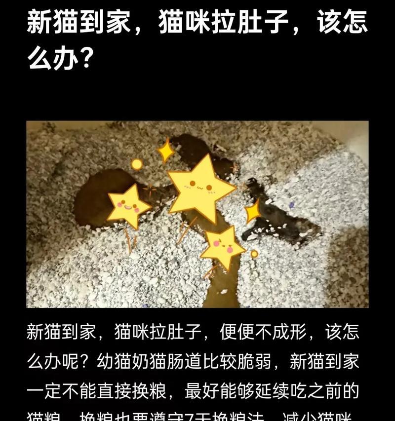 猫咪吃多猫粮会拉稀吗?可能是什么原因造成的?