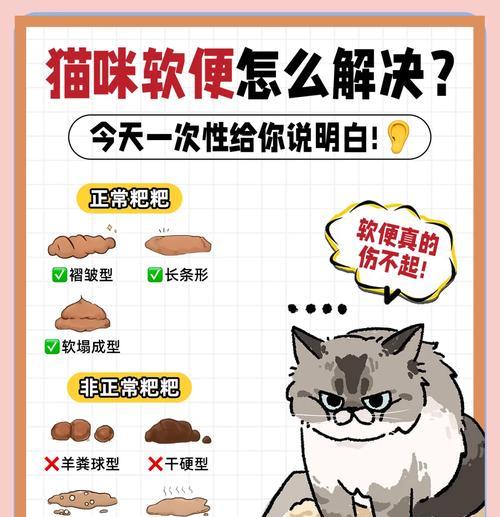 猫咪粪便异常臭的原因是什么?