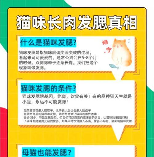 进口猫粮导致猫咪肥胖怎么办?