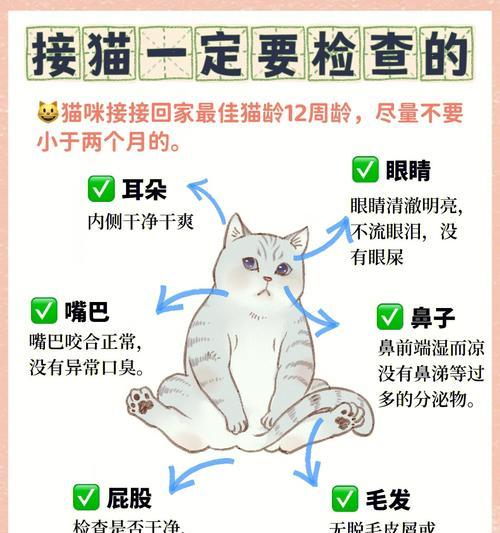 猫咪吃了什么猫粮不会产生眼屎?如何选择?