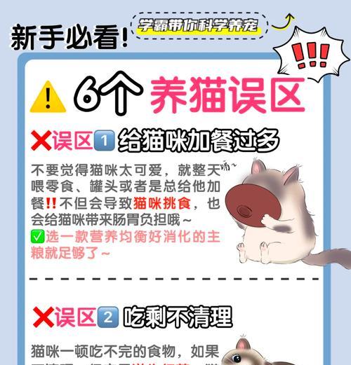 如何正确投喂流浪猫?避免猫粮被拒绝的方法?