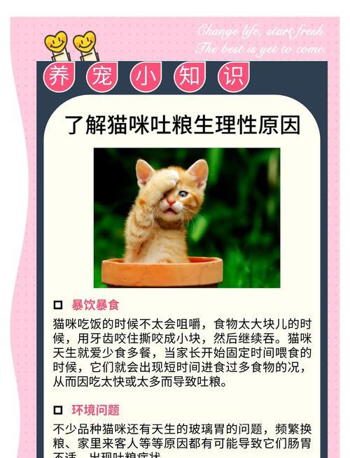 猫拉屎多且呕吐猫粮的原因是什么?