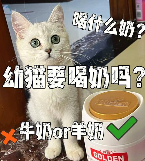 幼猫为何需要羊奶泡粮?