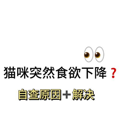 猫咪突然埋粮不吃的原因是什么?