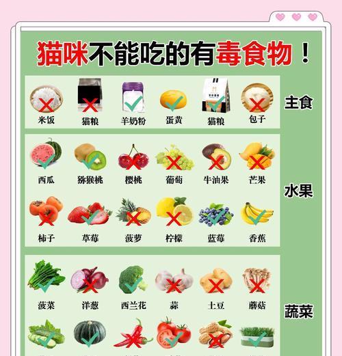 猫遇到猫粮不会走路是为什么？如何引导它正常进食？