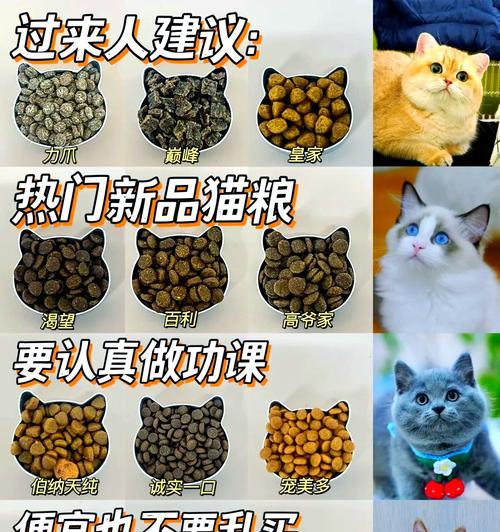怎么开启猫粮加播服务模式?猫粮加播服务模式的开启步骤是什么?
