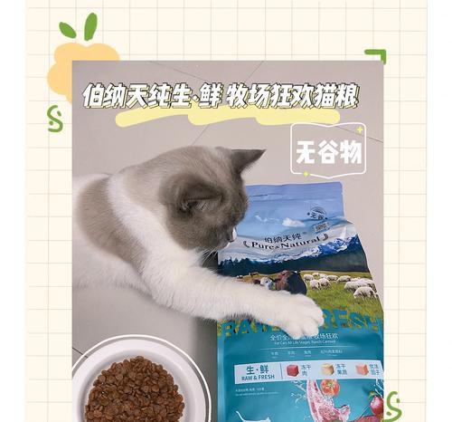 牛肉猫粮搭配什么食材更美味?