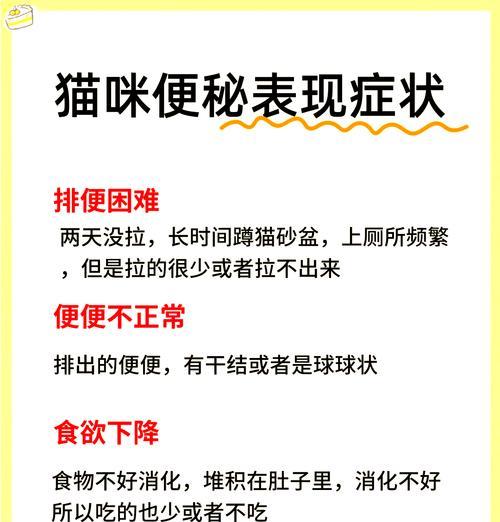 两个月猫咪排便异常的解决方法是什么?