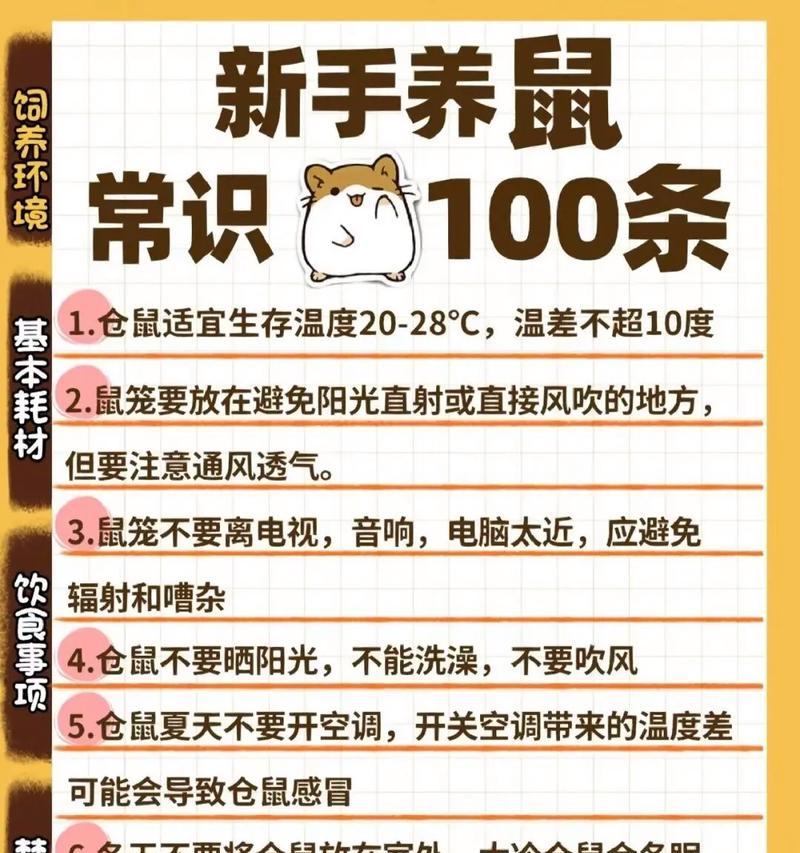 仓鼠进入猫笼子吃猫粮怎么办?如何防止?
