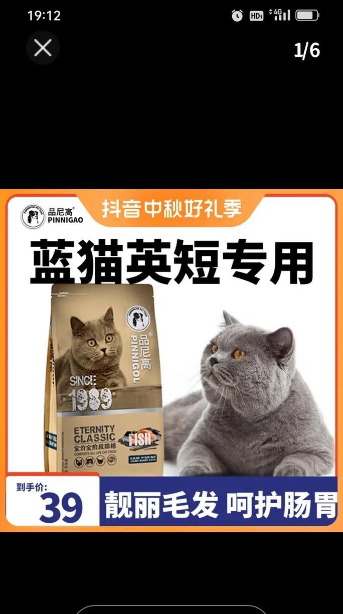 蓝猫8岁应该吃哪种猫粮?如何选择最佳猫粮?
