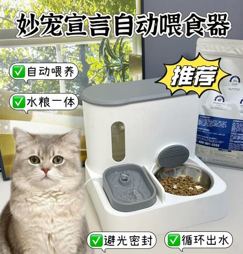 自动投粮器流浪猫怎么用