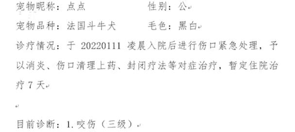 金毛被跳虫咬伤的快速处理方法?