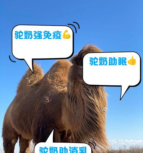 羊驼奶怎么开罐子的?需要特别注意什么?