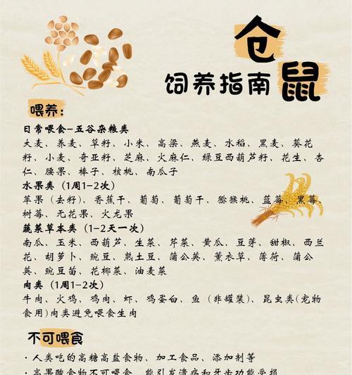 宠物店是否提供仓鼠驱虫药?如何正确使用驱虫药?