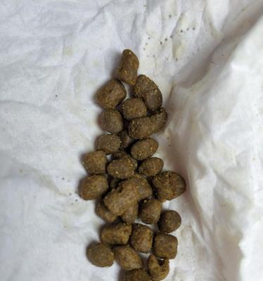 猫粮受潮有哪些明显迹象?