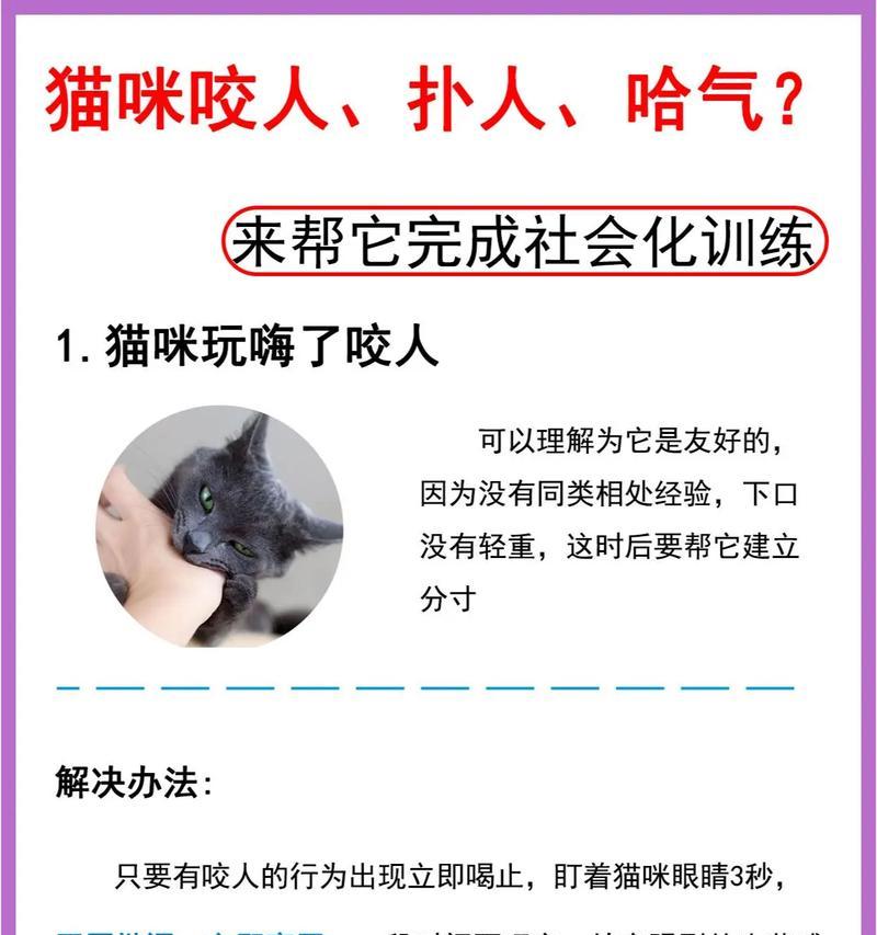 猫咪为何喜欢咬人?遇到这种情况应如何处理?
