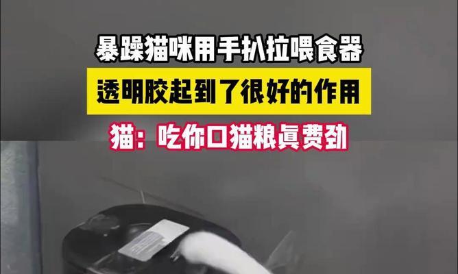 猫扒拉猫粮是什么原因?如何解决?