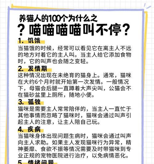 猫咪在家叫唤不停是何原因?是否与猫粮有关?