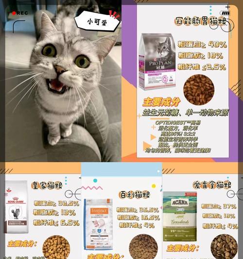 猫不怎么吃猫粮只爱睡觉怎么回事?