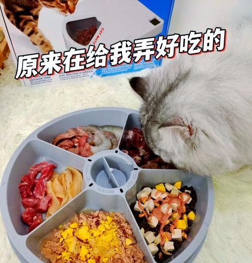 怎么在壶里放猫粮和鱼吃?这种喂食方式有何好处?