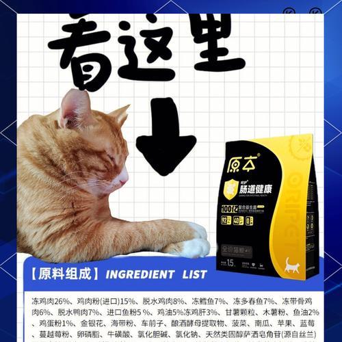 猫咪一直吐猫粮应该喂哪种益生菌?益生菌对猫咪有何帮助?
