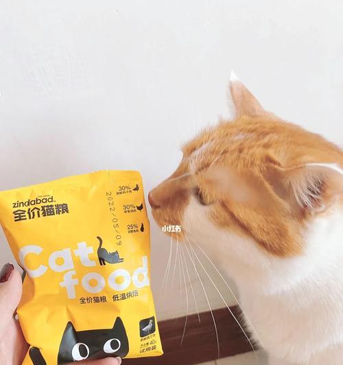 大橘猫适合哪种猫粮?
