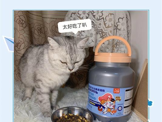 如何正确使用自带桶的猫粮?