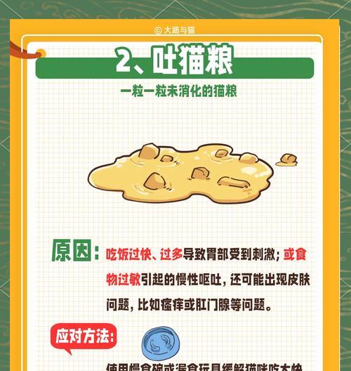 猫咪吃猫粮干呕怎么办?可能是什么原因导致的?