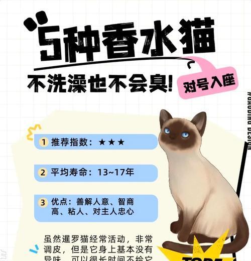 香水洒到猫粮里面怎么办?香水洒到猫粮后的处理方法是什么?