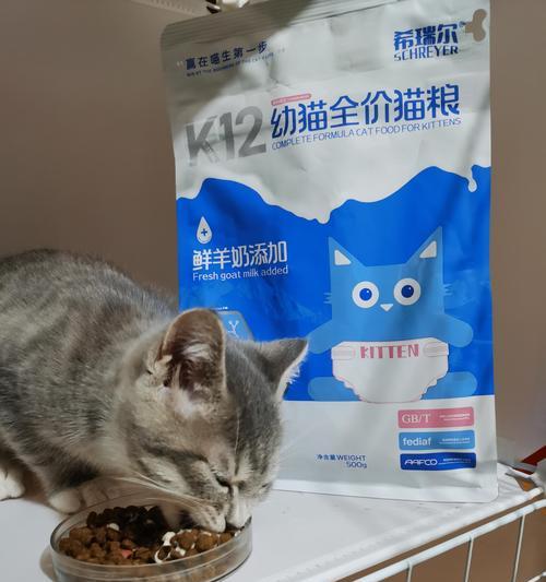 幼猫粮有异味时应如何处理?