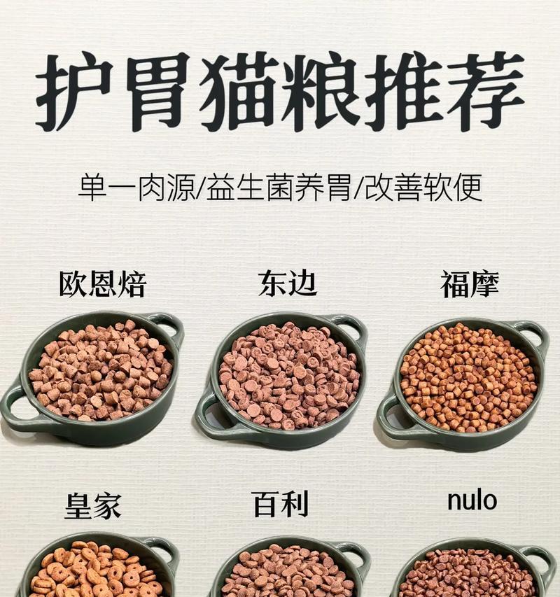 肠胃功能性猫粮的正确食用方法是什么?有哪些注意事项?
