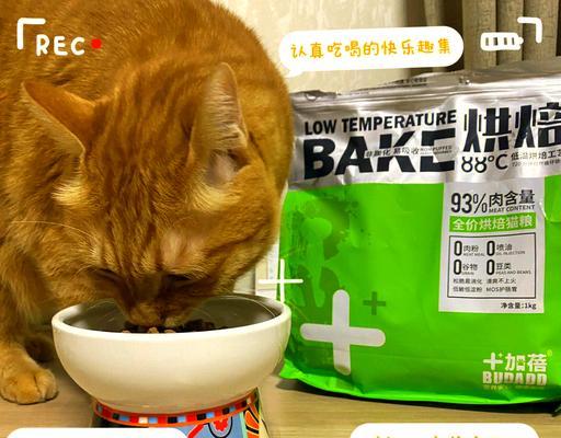 人类试吃猫粮会有何反应?