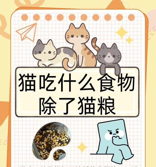 晚上给猫吃什么猫粮好?