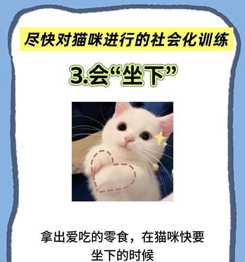 如何增加小猫的食欲（宠物喜好）