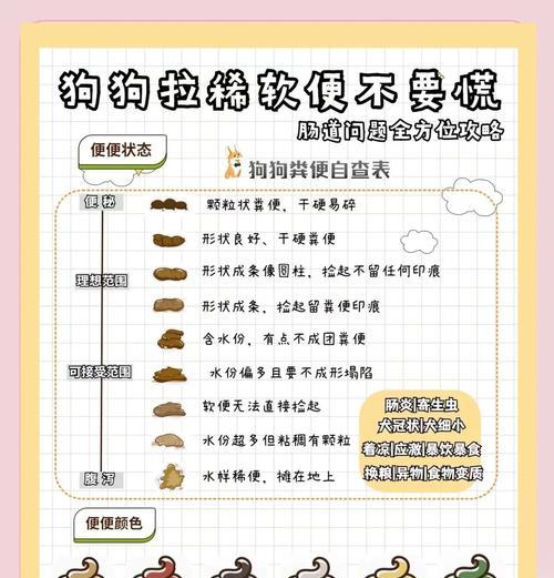 泰迪换狗粮导致拉稀怎么办？如何平稳过渡？