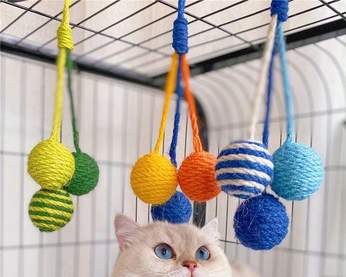 小猫喜欢什么样的玩具？怎样让小猫开心？