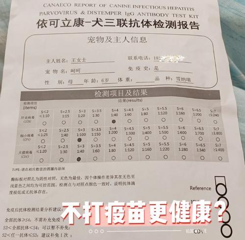 狗狗打完疫苗的最佳时间（宠物主人必看）