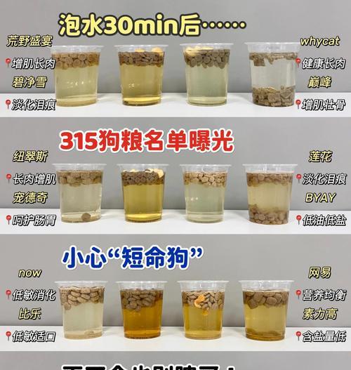 如何合理喂养2个月大的金毛（金毛狗粮喂养指南）