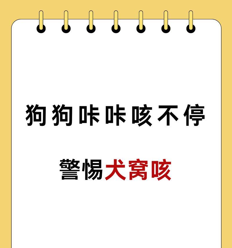 小狗跑完后咳嗽，你需要了解的事情（如何预防和治疗小狗跑完后咳嗽）