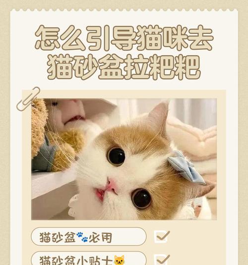 教你如何让猫咪老实听话（10个小窍门帮你解决猫咪任性的问题）