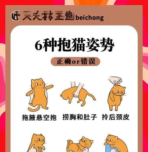 如何捕捉野生猫咪（掌握技巧）