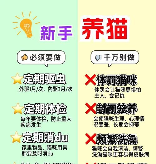 猫咪后院宝物的多种用途（从宠物玩具到环保花园装饰）