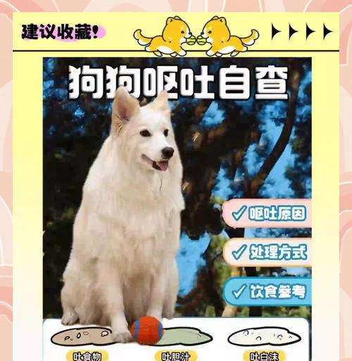 狗狗拉稀有血怎么办（应急处理方法及预防措施）